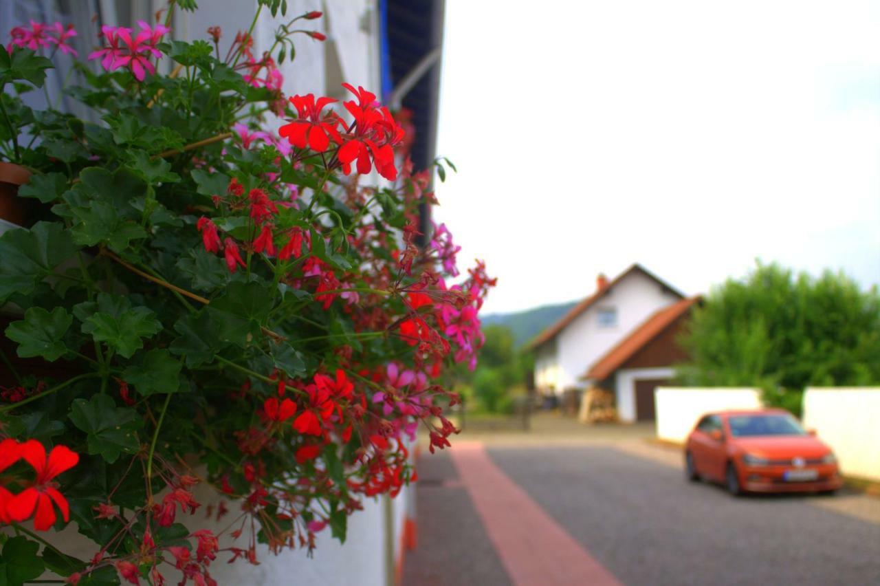 Wdwell Apartamento Munchweiler an der Rodalbe Exterior foto